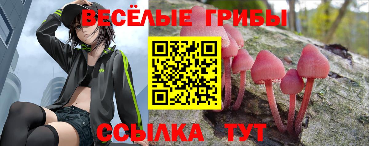 Ртищево  продажа наркотиков  Вход с VPN  Галлюциногенные грибы прущие грибы 